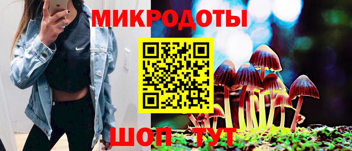 Северск  Галлюциногенные грибы ЛСД  Псилоцибиновые грибы мухоморы  где найти   Вход с VPN 